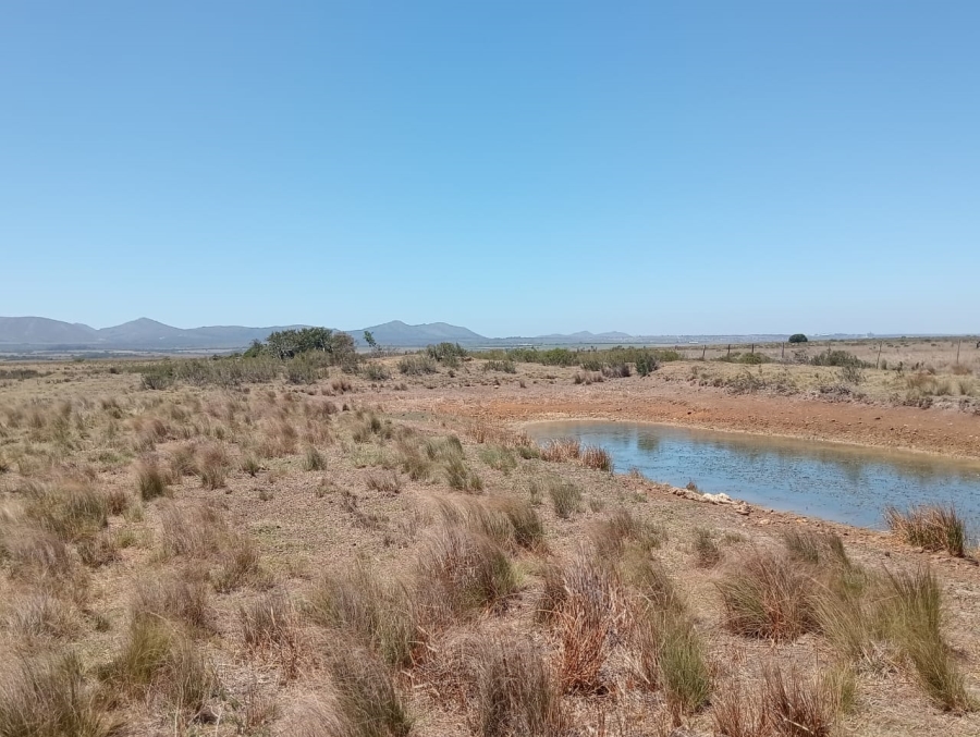 Commercial Property for Sale in Humansdorp Rural Eastern Cape